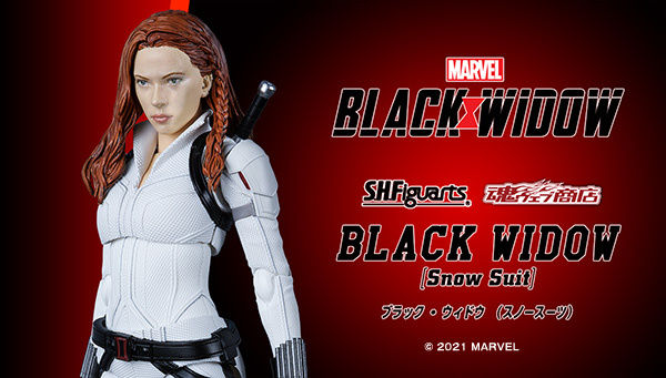 S.H.Figuarts Black Window (Snow Suit)