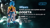 S.H.Figuarts Super Saiyan God Super Saiyan GOGETA
